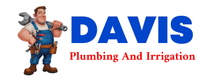 Trusted plumber in PIONEER